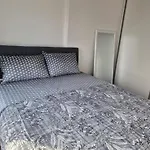Modern Nest